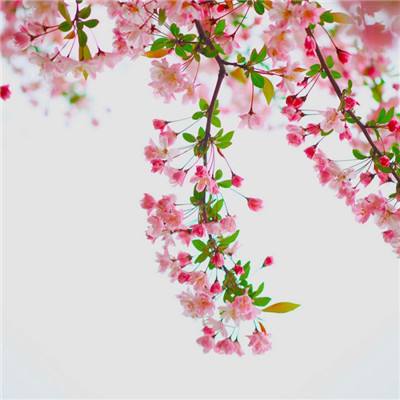 谋战三十六计手游下载
